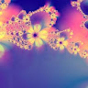 Meet your Posher, Kelli